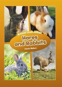 Cover image for Hares and Rabbits: Animal Look-Alikes