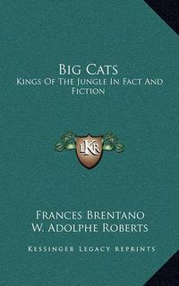 Cover image for Big Cats: Kings of the Jungle in Fact and Fiction