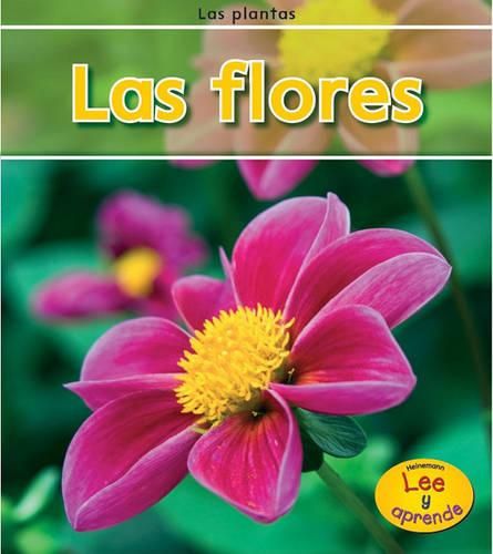 Cover image for Las Flores