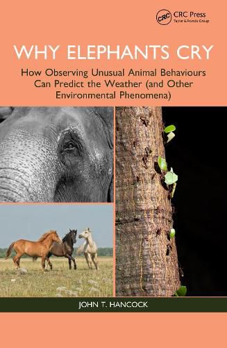 Cover image for Why Elephants Cry