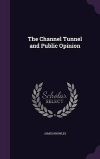 Cover image for The Channel Tunnel and Public Opinion