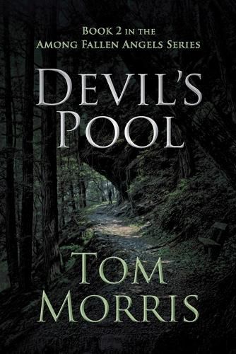 Cover image for Devil's Pool