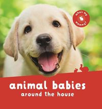 Cover image for Animal Babies Around the House