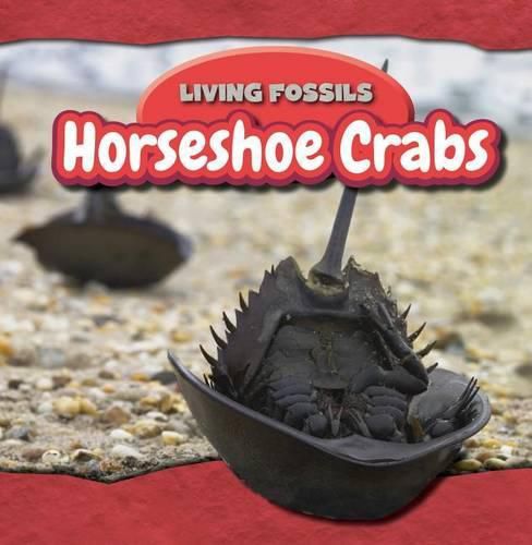 Cover image for Horseshoe Crabs