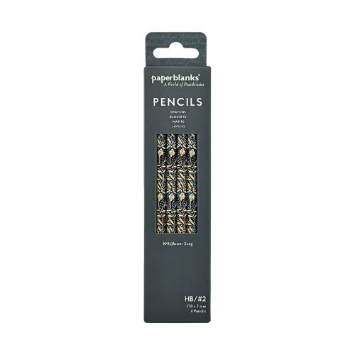 Cover image for Wildflower Song Pencil (4 Pack)