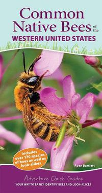 Cover image for Common Native Bees of the Western United States