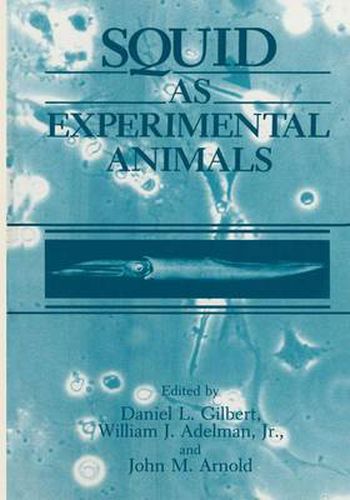 Cover image for Squid as Experimental Animals