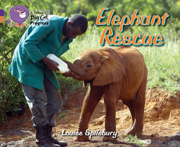 Cover image for Elephant Rescue: Band 08 Purple/Band 12 Copper