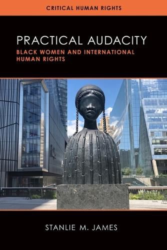 Cover image for Practical Audacity: Black Women and International Human Rights