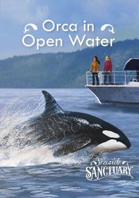 Cover image for Orca in Open Water