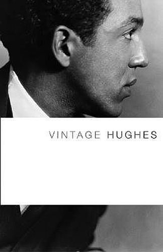 Cover image for Vintage Hughes