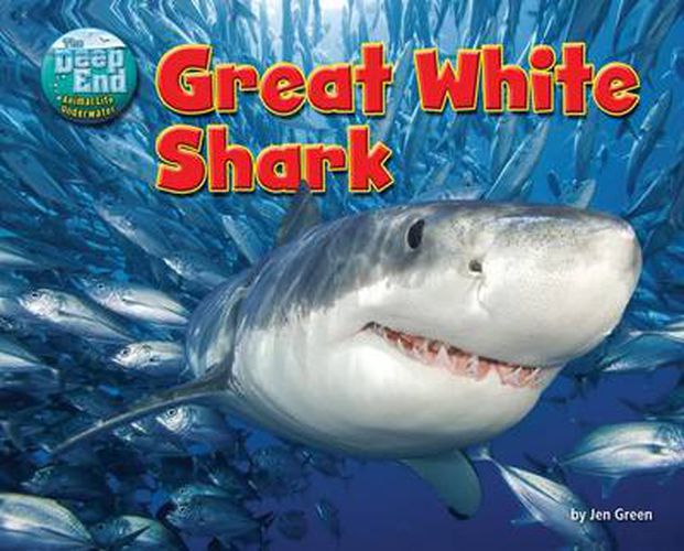 Cover image for Great White Shark