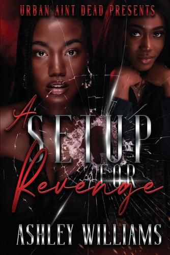 Cover image for A Setup For Revenge