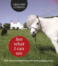 Cover image for See What I can See