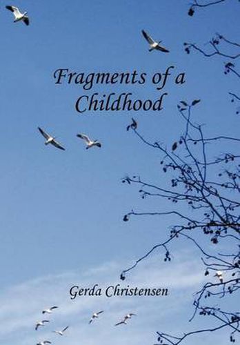 Cover image for Fragments of a Childhood: In Memory of My Mother and Grandparents