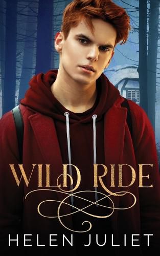 Cover image for Wild Ride