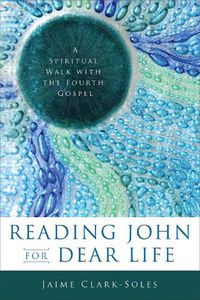 Cover image for Reading John for Dear Life: A Spiritual Walk with the Fourth Gospel