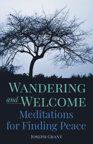 Cover image for Wandering and Welcome: Meditations for Finding Peace