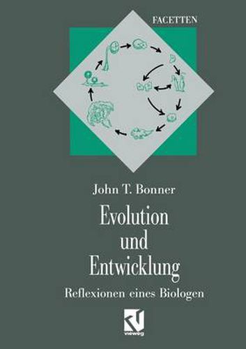 Cover image for Evolution Und Entwicklung: Reflexionen Eines Biologen