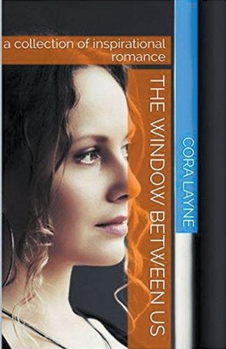 Cover image for The Window Between Us
