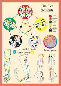 Cover image for Five Elements in Acupuncture -- A4