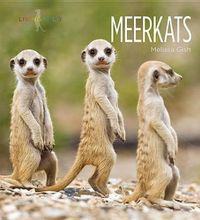 Cover image for Meerkats