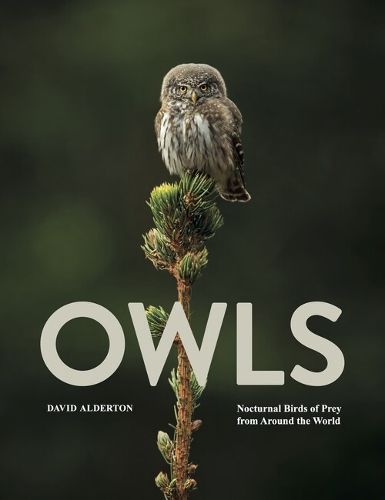 Cover image for Owls
