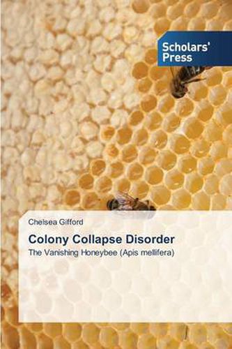 Cover image for Colony Collapse Disorder