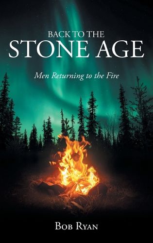 Cover image for Back to the Stone Age