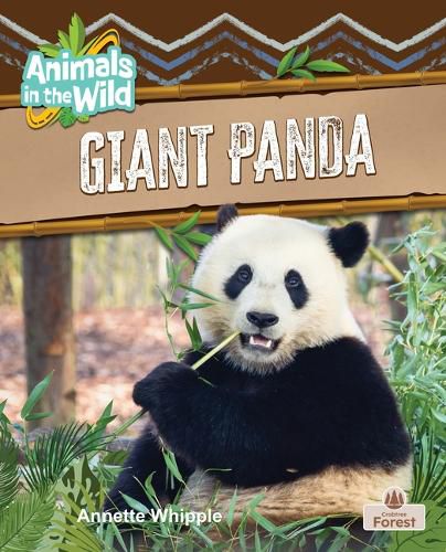 Cover image for Giant Panda