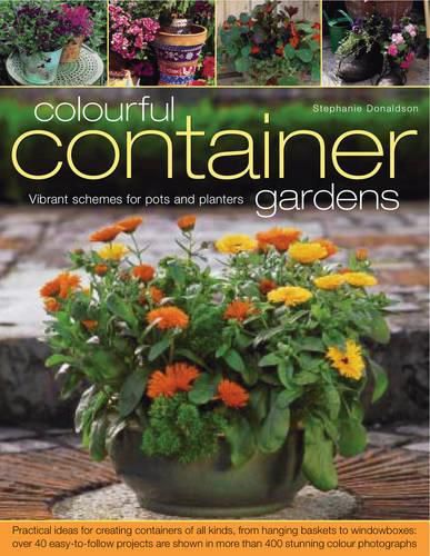 Colourful Container Gardens