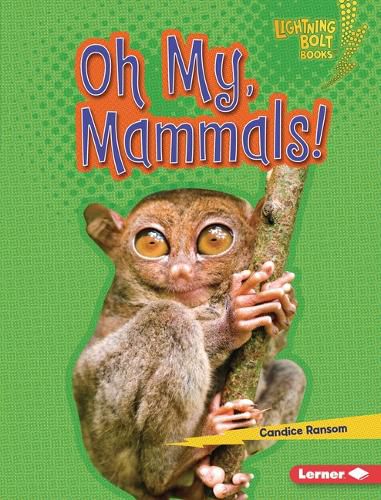 Cover image for Oh My, Mammals!