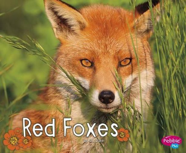 Cover image for Red Foxes