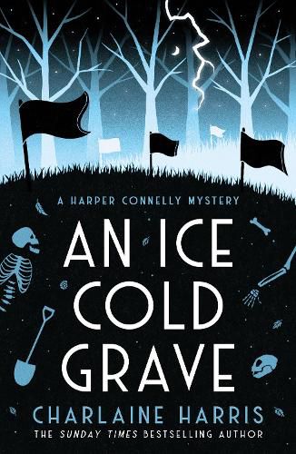 Cover image for An Ice Cold Grave