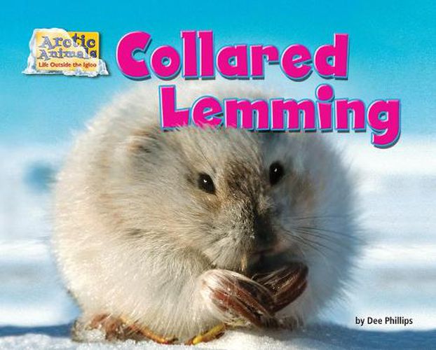 Cover image for Collared Lemming