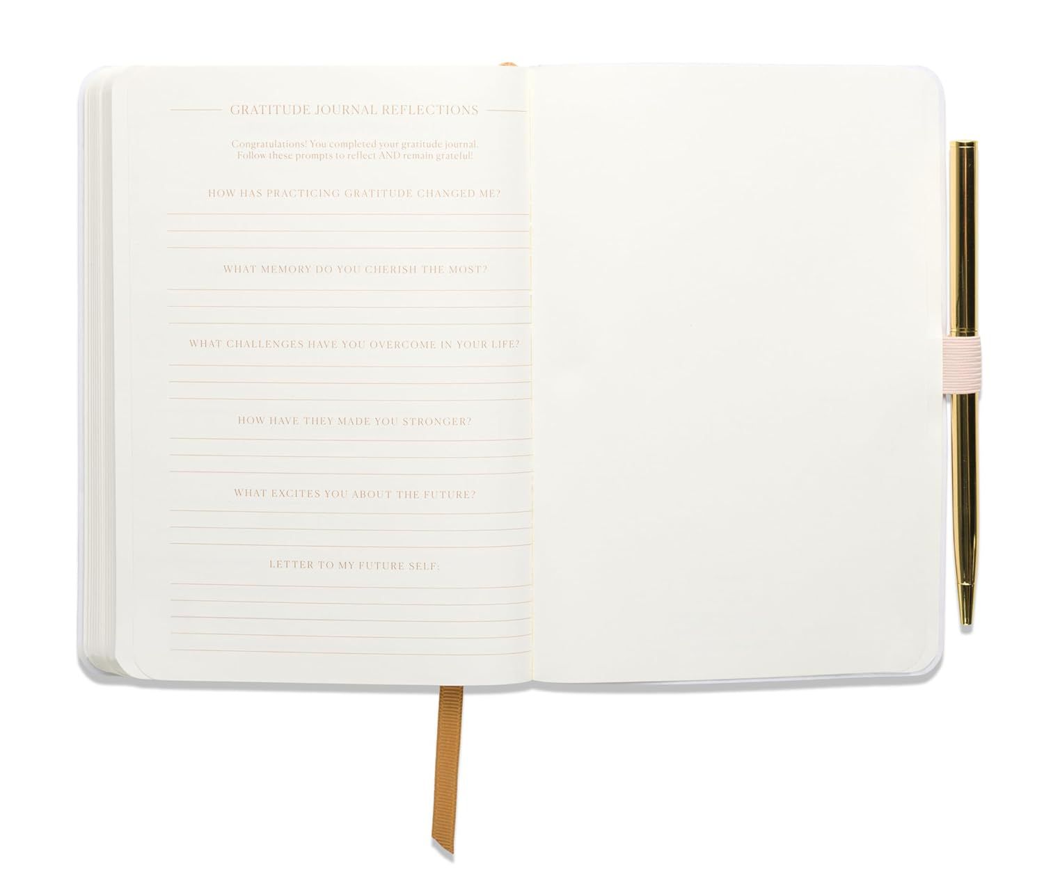 Gratitude Journal - Pause