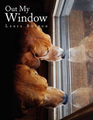 Cover image for Out My Window