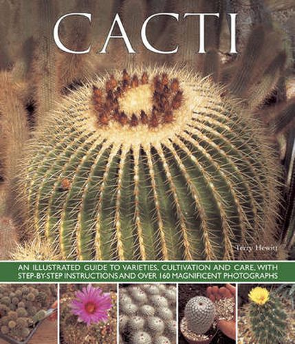 Cover image for Cacti