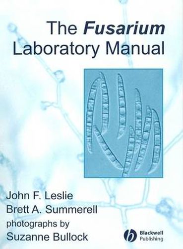 Cover image for Fusarium Laboratory Manual