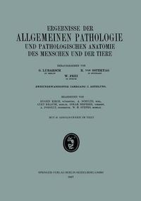 Cover image for Ergebnisse Der Allgemeinen Pathologie Und Pathologischen Anatomie Des Menschen Und Der Tiere: Zweiundzwanzigster Jahrgang: I. Abteilung