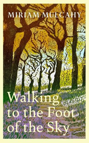 Cover image for Walking to the Foot of the Sky