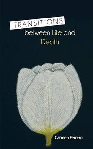 Cover image for Transitions Between Life and Death