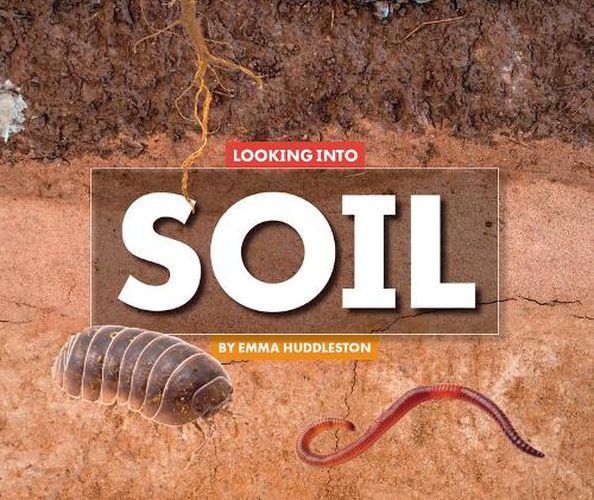 Looking Into Soil