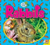 Cover image for Rabbits