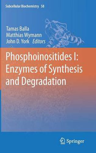 Cover image for Phosphoinositides I: Enzymes of Synthesis and Degradation