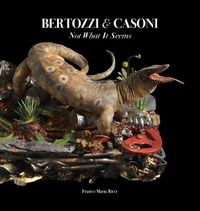 Cover image for Bertozzi & Casoni