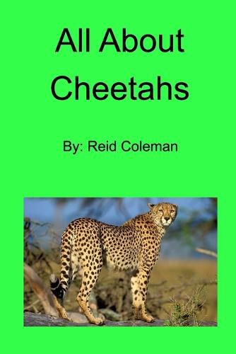 Cover image for All About Cheetahs