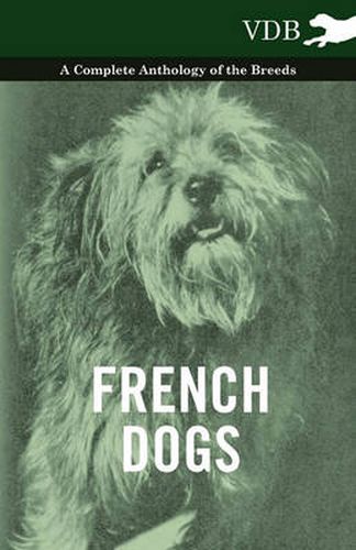 Cover image for French Dogs - A Complete Anthology of the Breeds