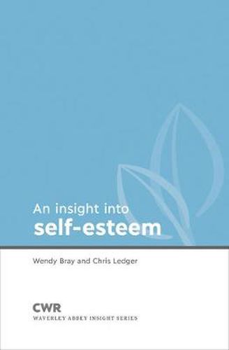 Cover image for Insight into Self Esteem