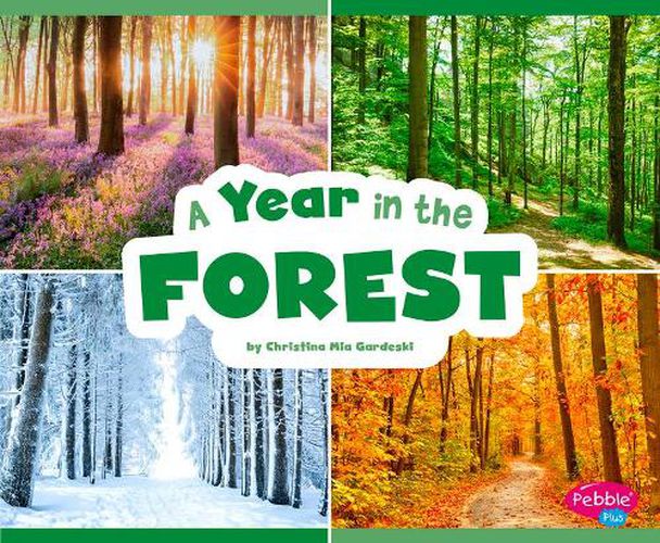 Cover image for A Year in the Forest